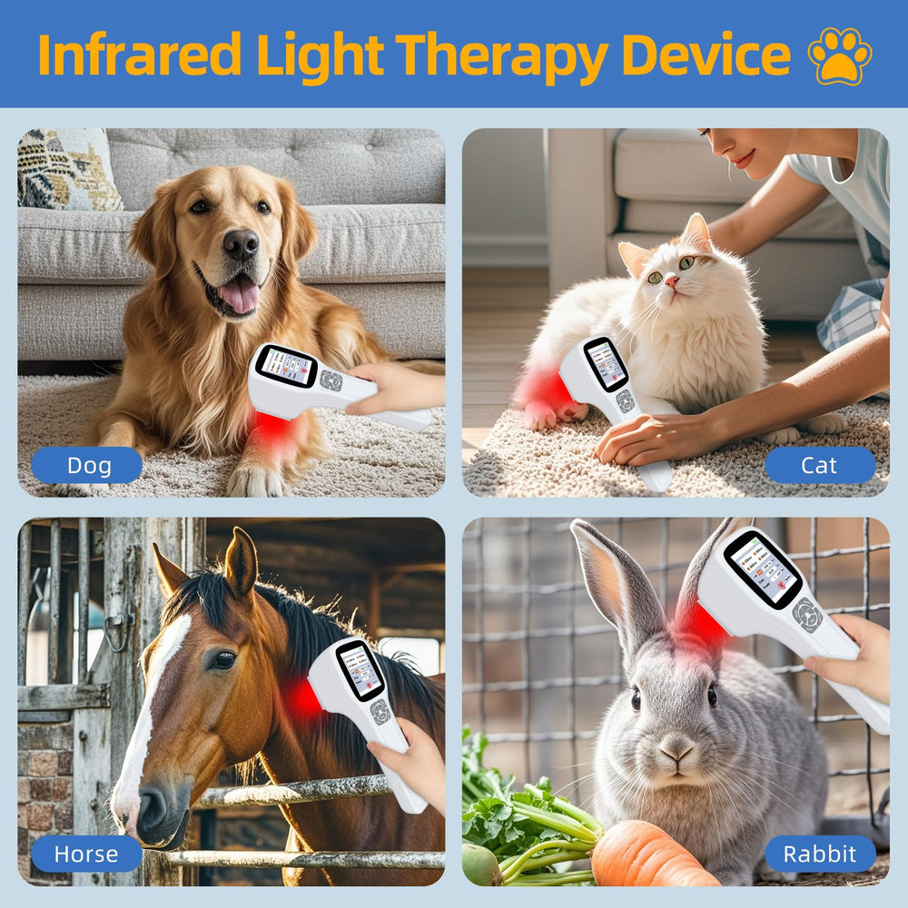 Yoveck thérapie au laser, accessoires inclus pour sécurité et pratique.