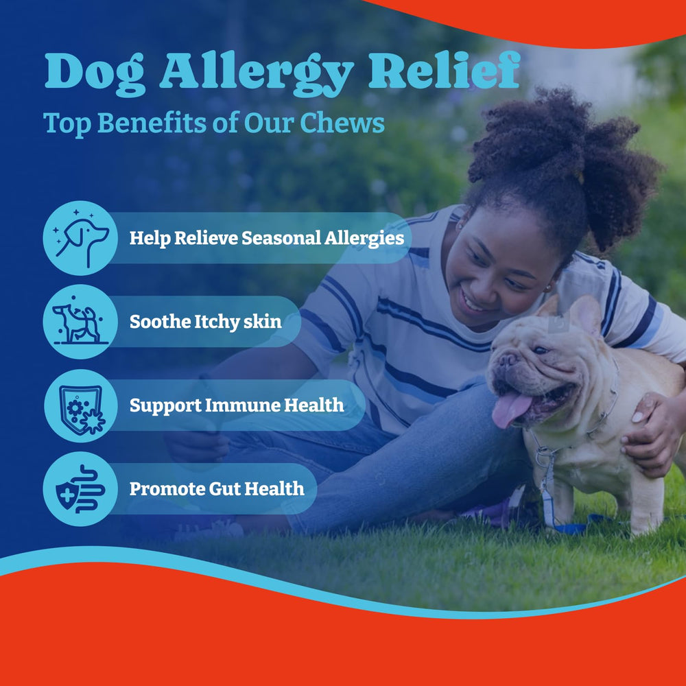Chien heureux lors de la dégustation en extérieur avec YoYoBay.