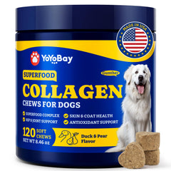 YoYoBay collagène chien friandises molles pour peau et pelage éclatants