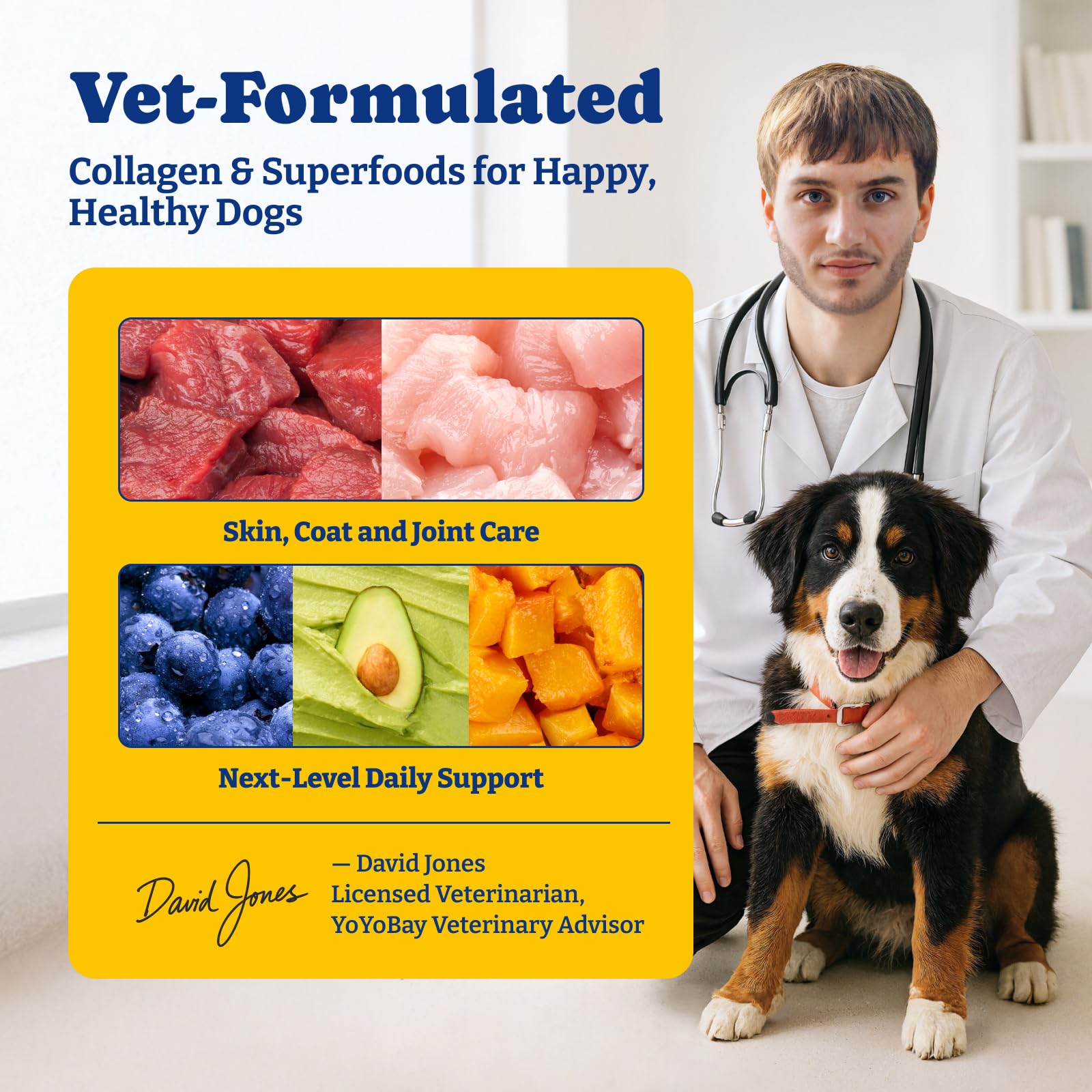 YoYoBay collagène chien formule super-aliments pour vitalité