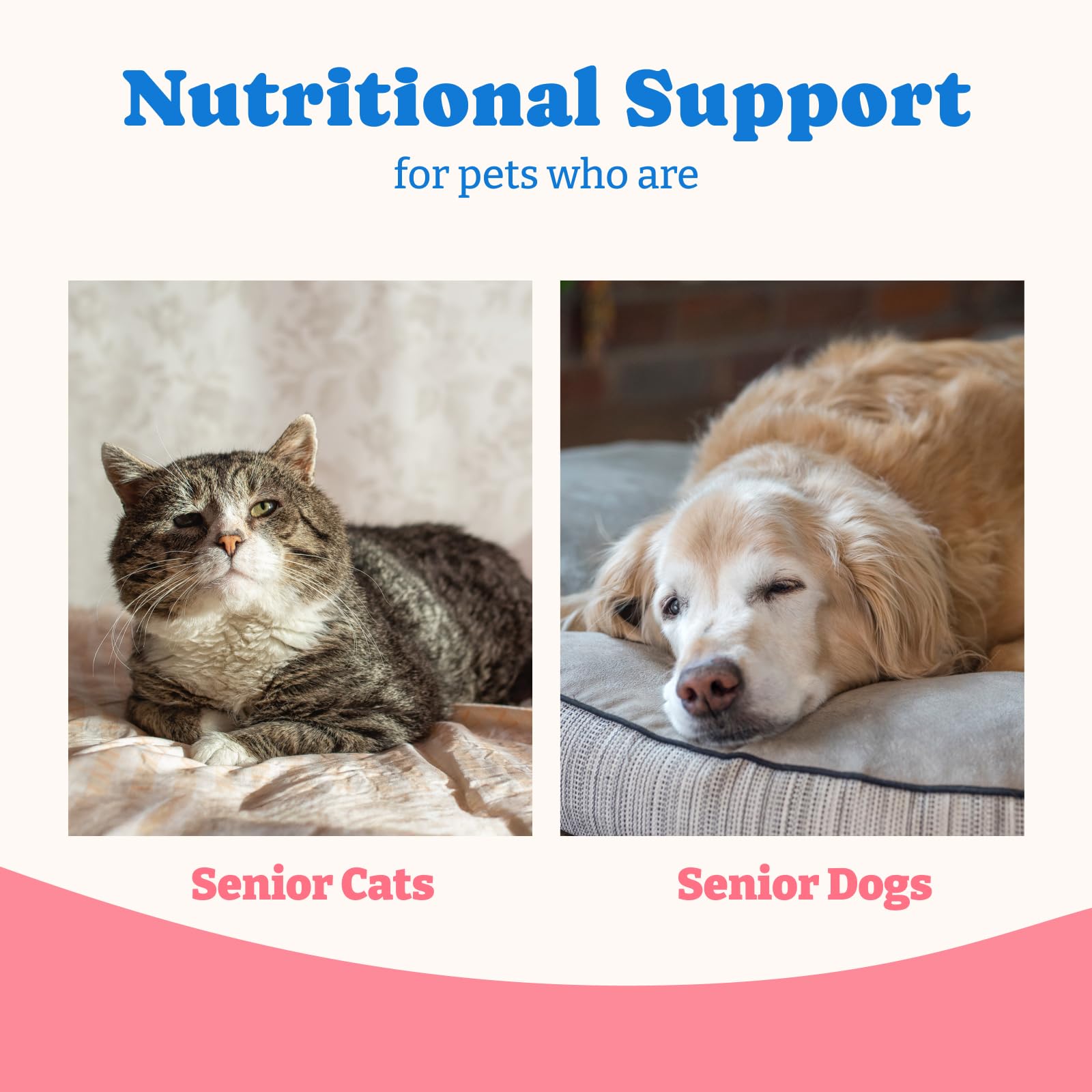 YoYoBay Colostrum Gel: application simple pour animaux, soutien nutritionnel facilité.
