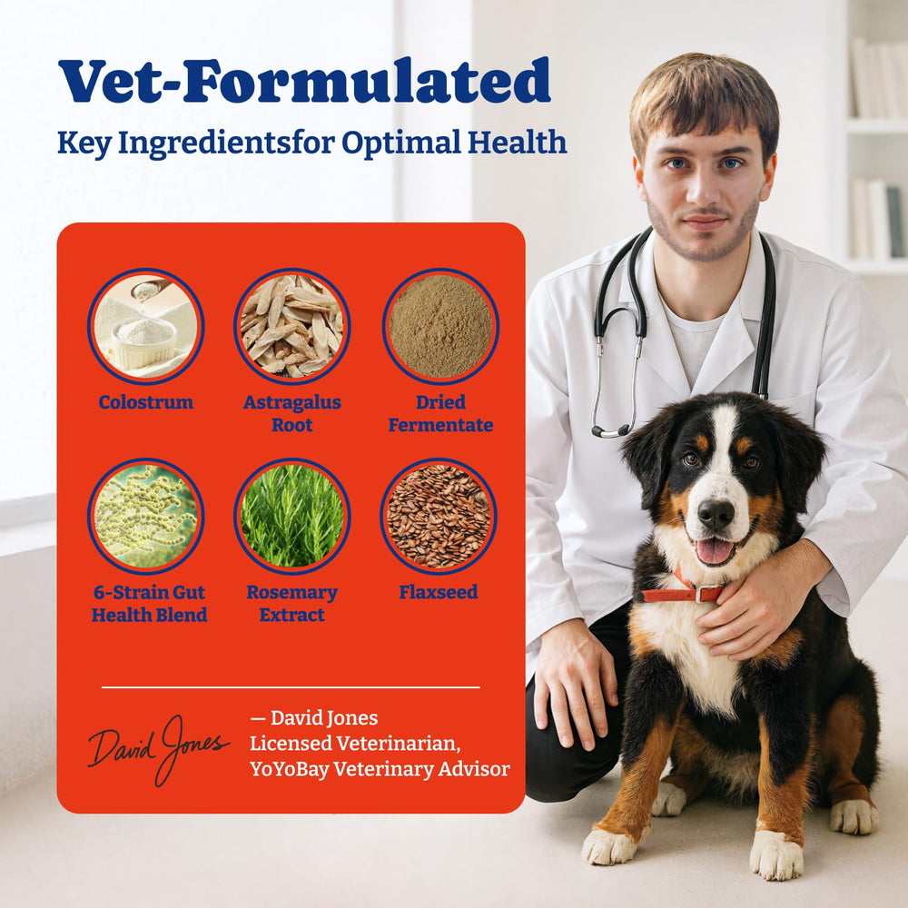 YoYoBay goût dinde et potiron, apprécié par les chiens et soutient digestion.