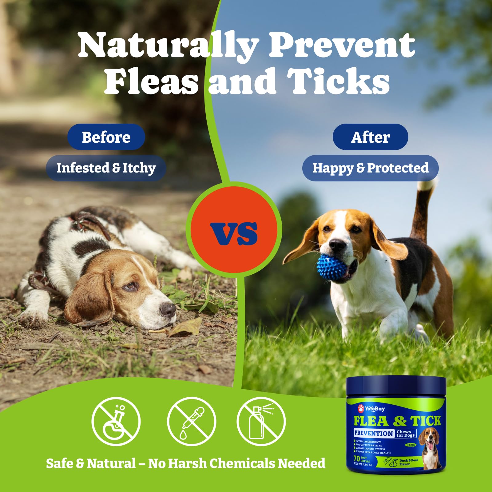 YoYoBay – Ingrédients naturels sans additifs artificiels.