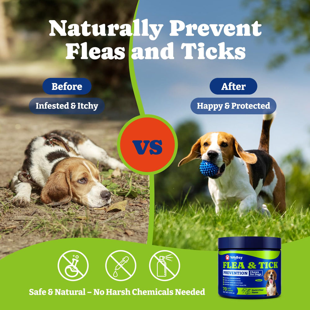 YoYoBay – Ingrédients naturels sans additifs artificiels.