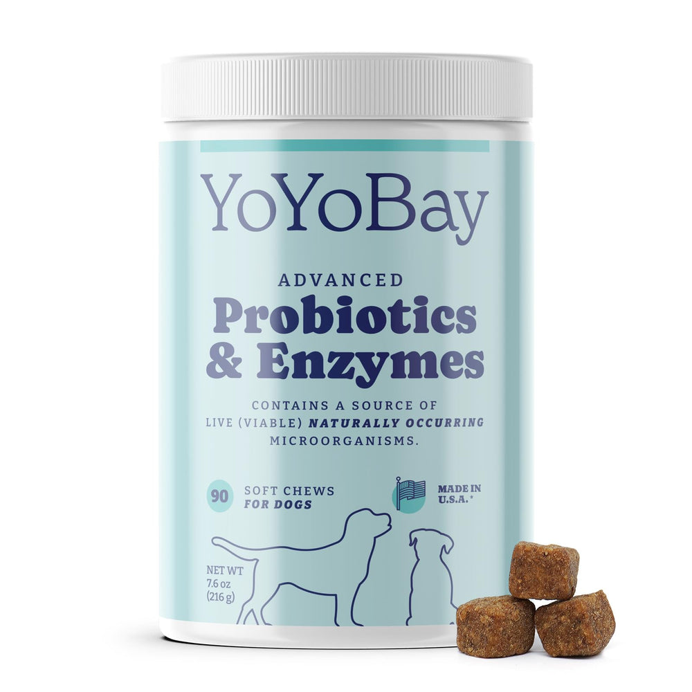 YoYoBay Probiotiques pour chien – bouteille, soutien digestion et flore intestinale.