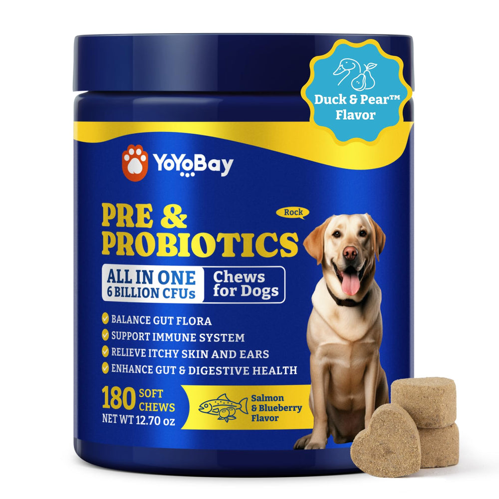 YoYoBay Probiotiques chien – bouteille montrant l'emballage et le soin quotidien.