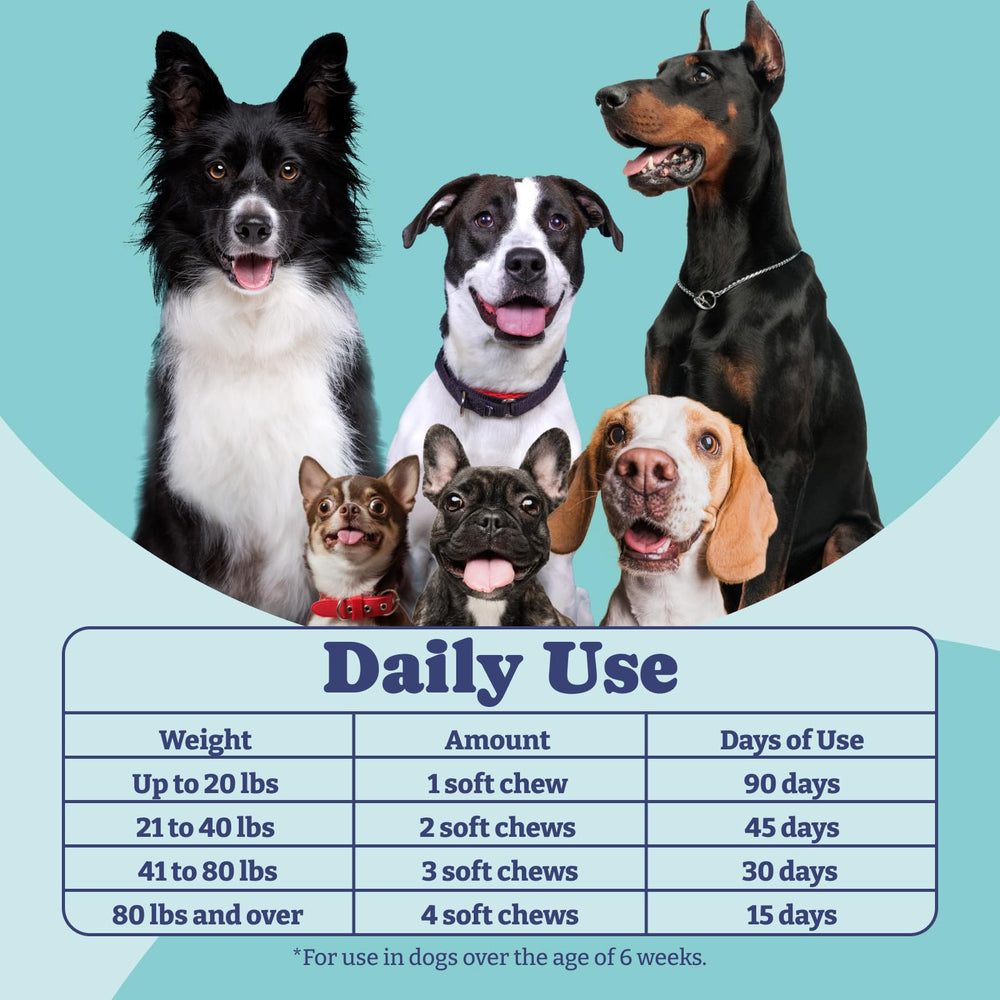 YoYoBay Probiotiques pour chien – formule formulée par vétérinaires, production américaine.