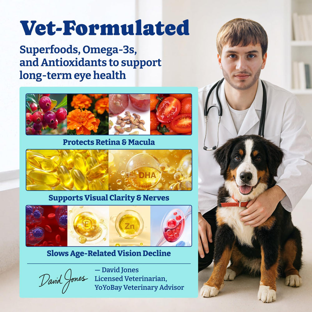 YoYoBay suppléments vision chien omega-3 — acides gras essentiels pour les yeux.