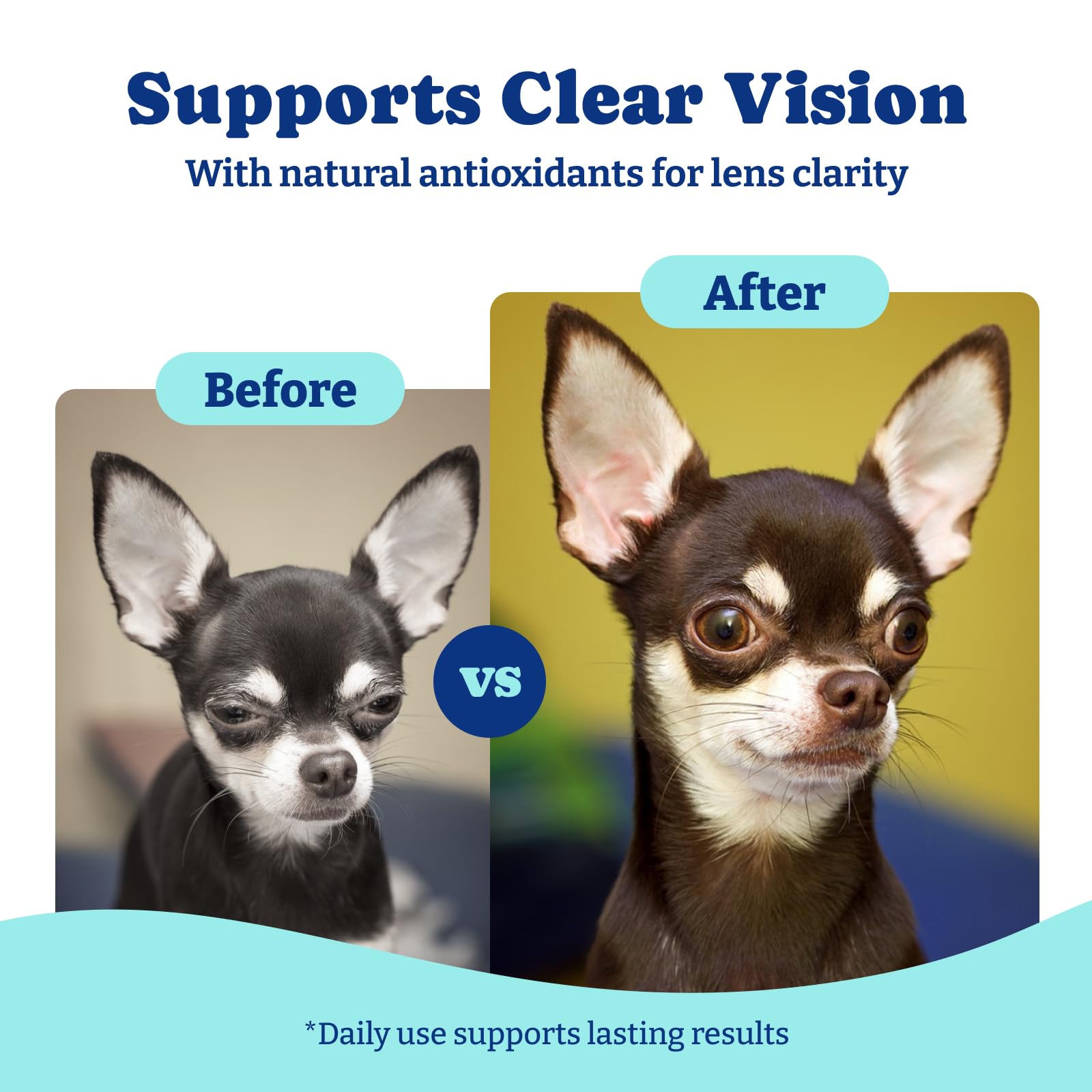 YoYoBay suppléments vision chien zinc — soutien pour la peau et l'éclat général.