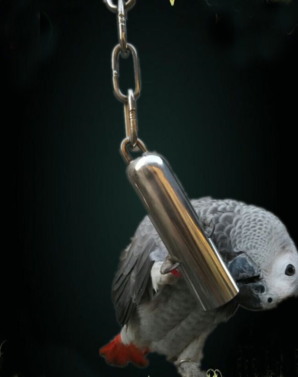 Jouet interactif yoyoung; l’oiseau découvre le son en exploration.