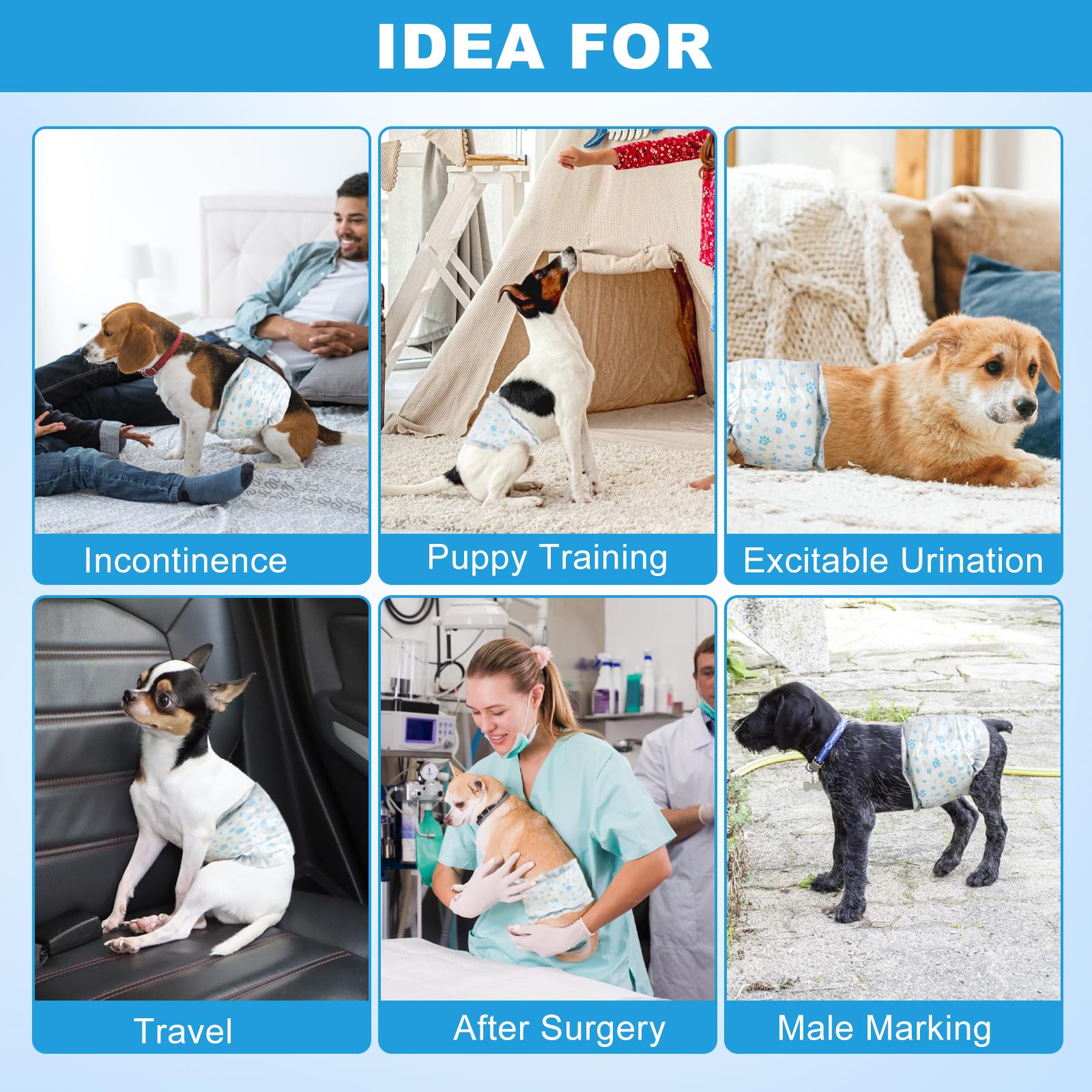Utilisation quotidienne des couches Ypfyed pour chien.