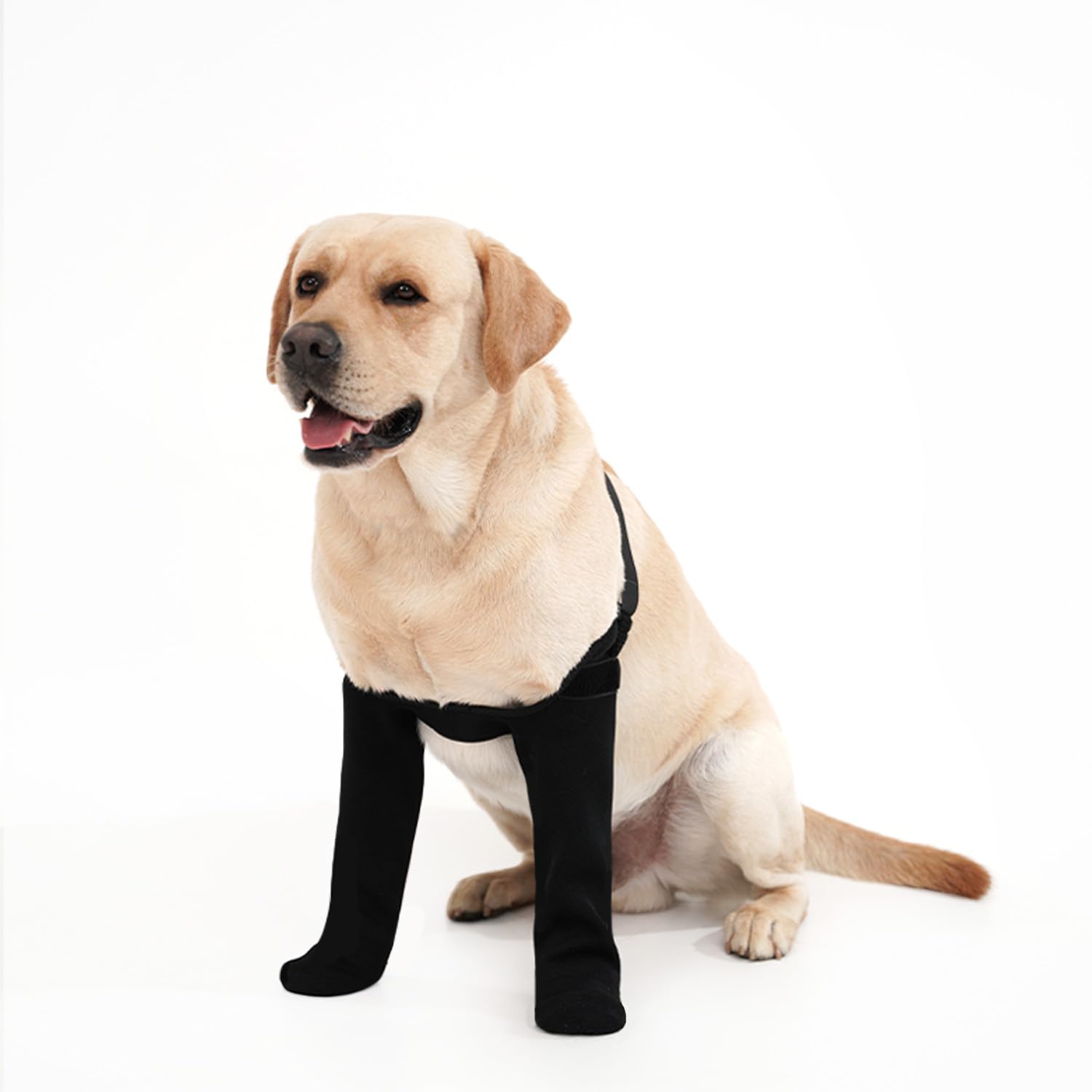 Chaussettes yrenoer imperméables pour chien, anti-lechage et protection des plaies.