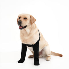 Chaussettes yrenoer imperméables pour chien, anti-lechage et protection des plaies.