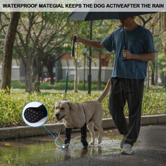 Bottes yrenoer antiderapantes pour chien, maintien sûr en intérieur.