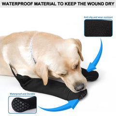 Chaussettes recuperation yrenoer pour chien, confort et prévention irritations cutanées.