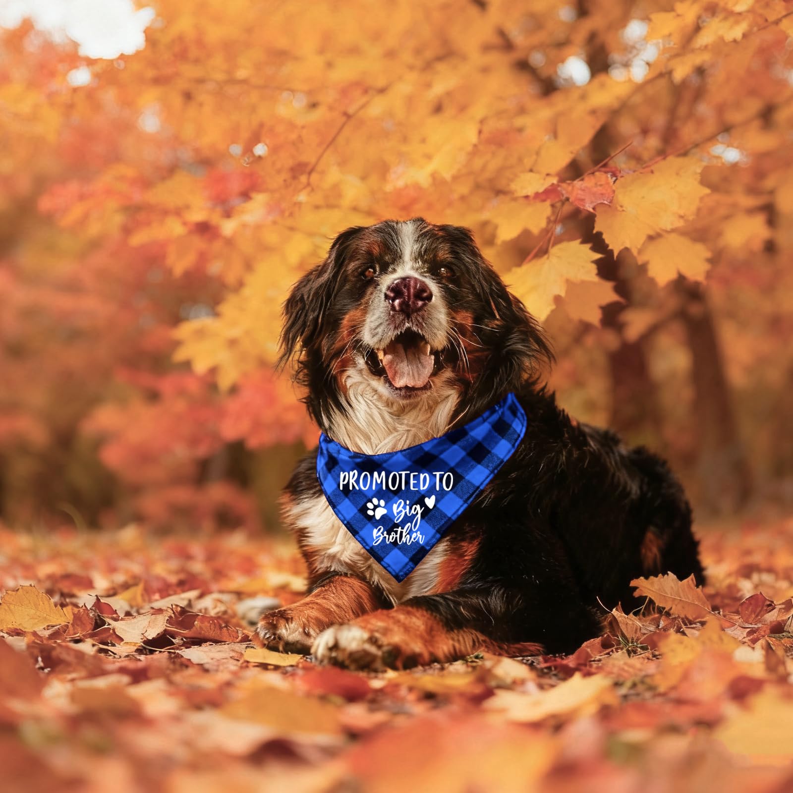 Bandana en coton de qualité supérieure YROVWENQ pour chiens, élégance durable.
