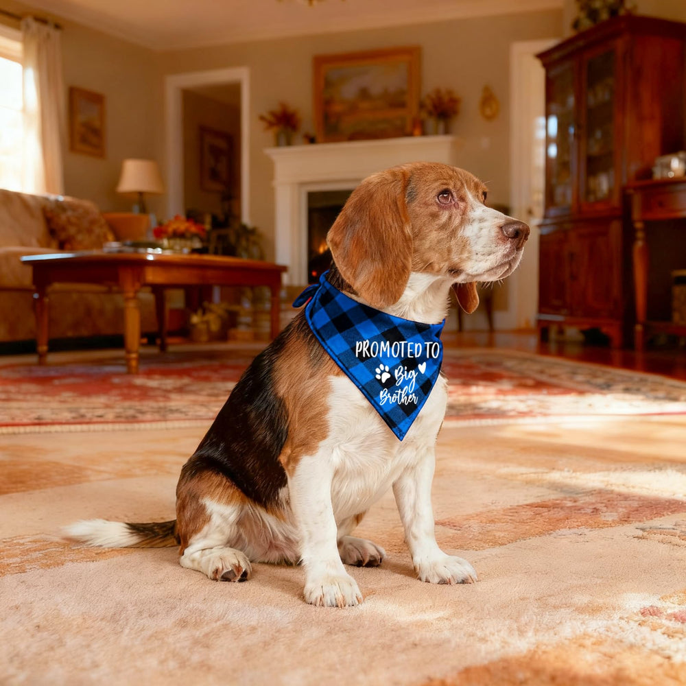 Accessoire YROVWENQ pour photos d’animaux, bandana bleu élégant.