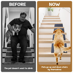 yrriemcmy rampe anti derapante pour escaliers, facilite l acces des petits chiens