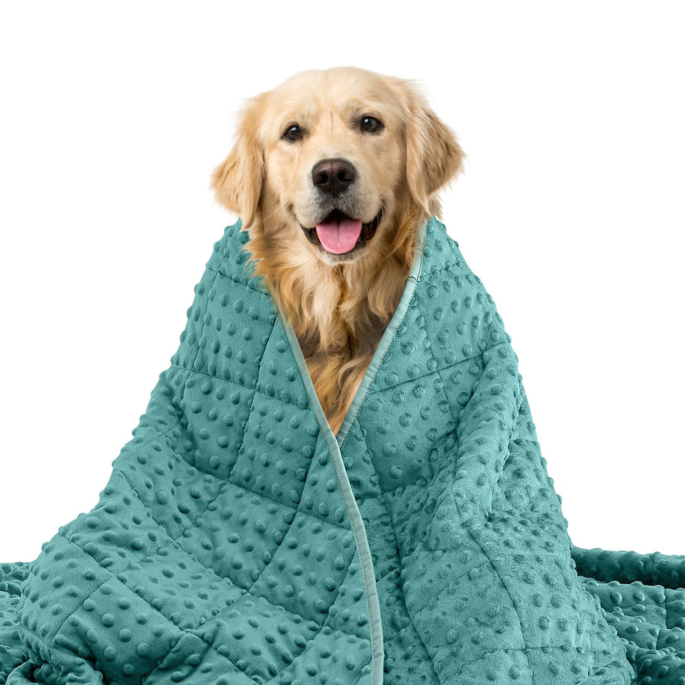 Yescool couverture poids chien 7 livres turquoise, confort et sécurité pendant les orages.