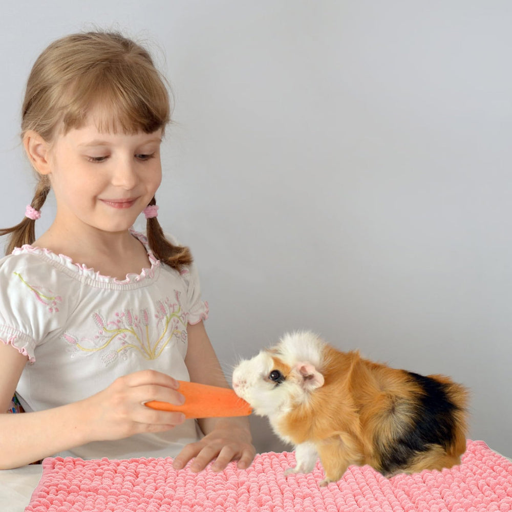 Utilisation polyvalente Ysglory pour cobayes, lapins et hamsters.