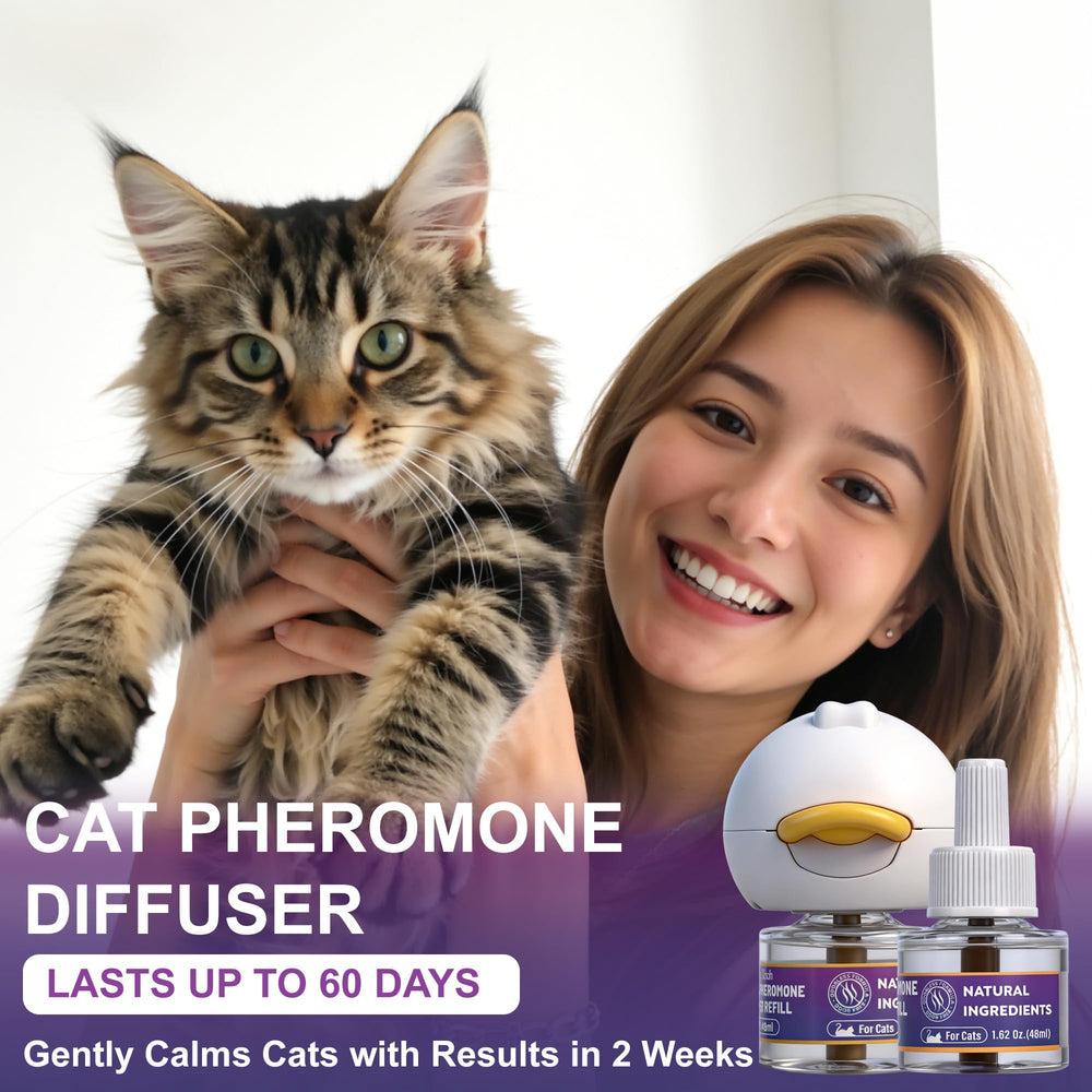 Diffusion adaptée dans le salon avec le diffuseur YTCX.Tech, réduction des tensions entre chats.