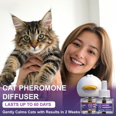 Diffusion adaptée dans le salon avec le diffuseur YTCX.Tech, réduction des tensions entre chats.