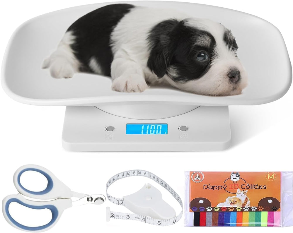 Balance YTCYKJ pour animaux, pesée précise pour petits compagnons