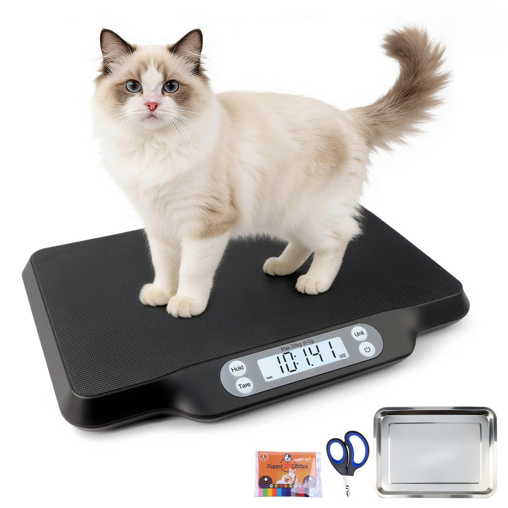 Balance YTCYKJ avec plateau inox spacieux pour chiens et chats.