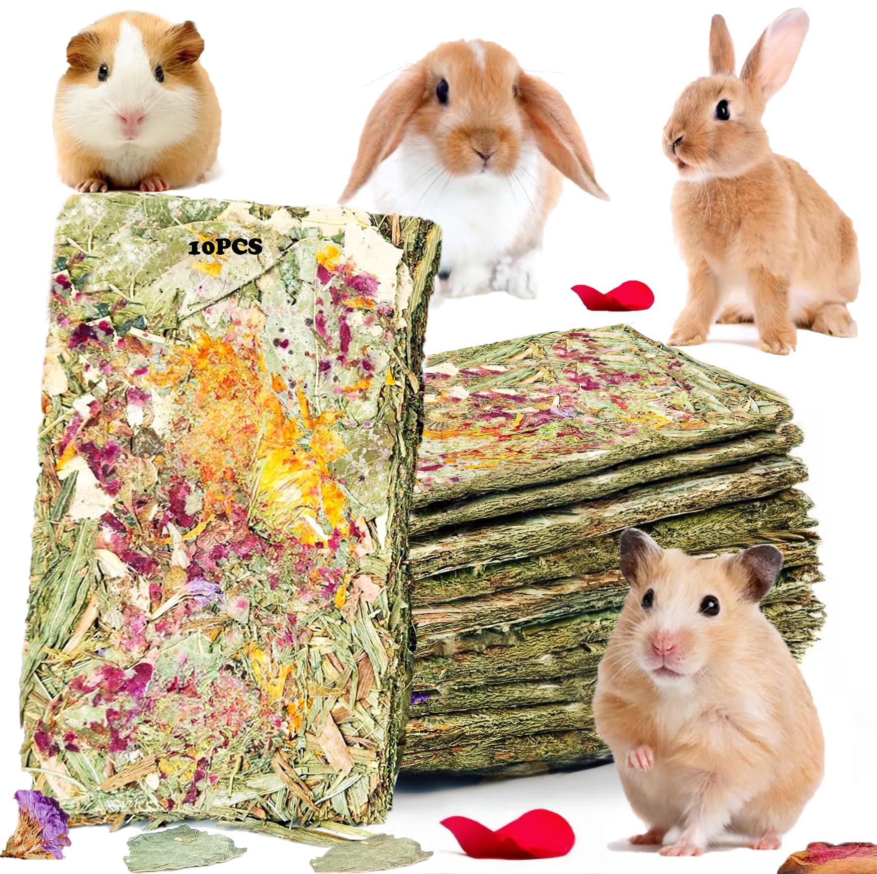 Jouets YTSKJ pour lapin, pack de 10, ensemble ludique.
