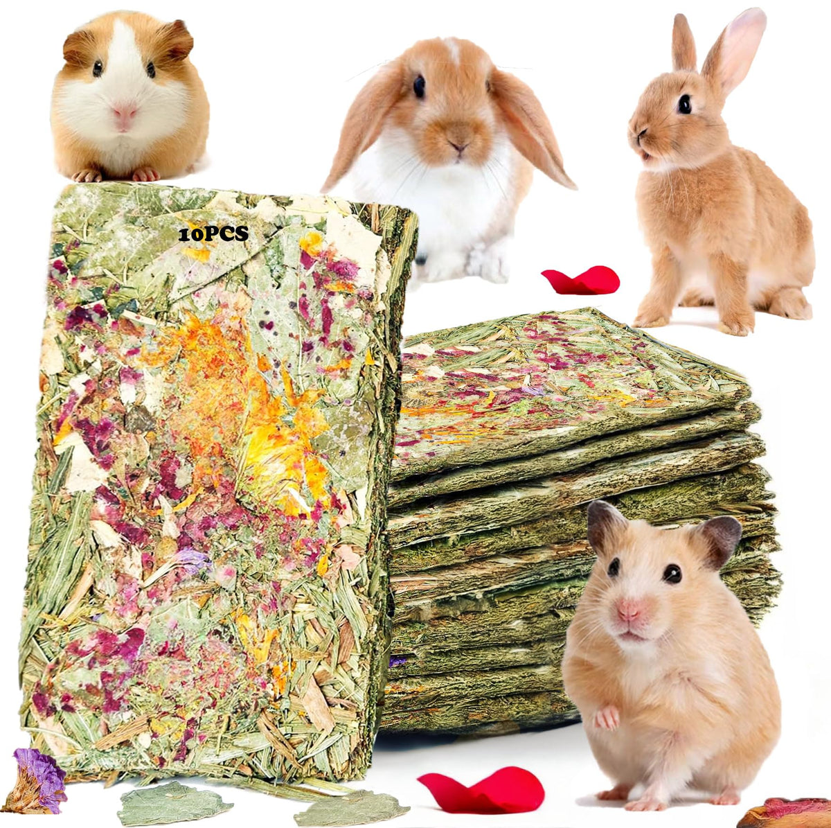 Jouets YTSKJ pour lapin, pack de 10, ensemble ludique.