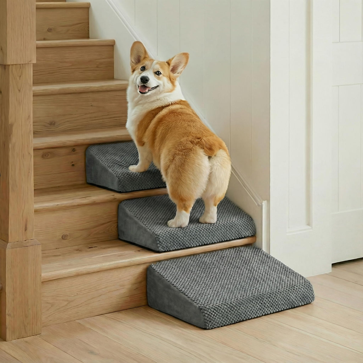 YU YUSING 3-pack rampe chien escaliers 20deg soutient les articulations lors de la montée.