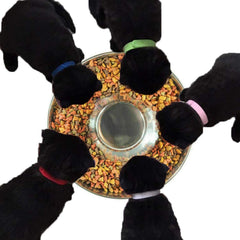 Bol YUDANSI chiot inox deux bols; pratique et empilable
