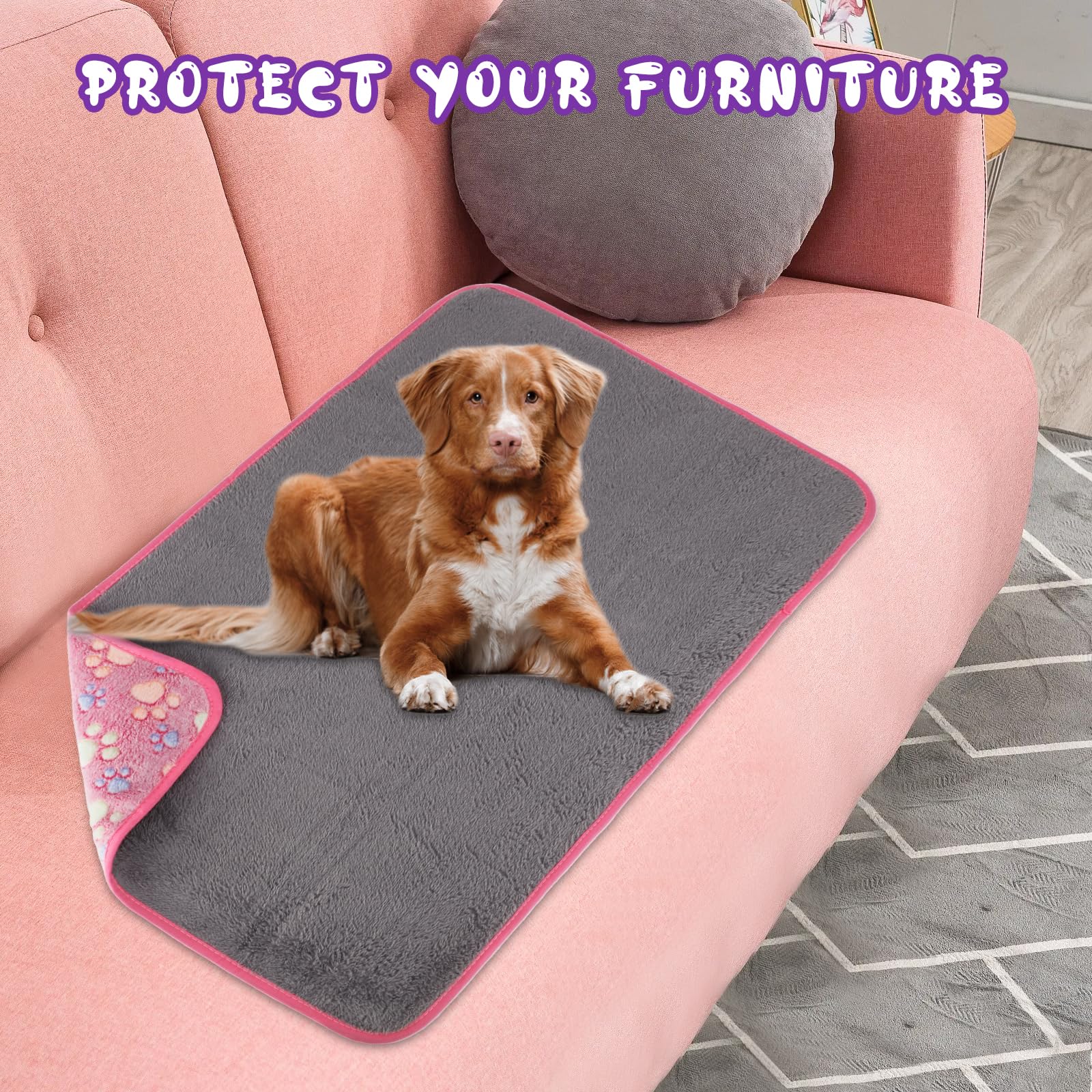 YUEPET taille adaptée pour petits chiens et chats, compagnon doux