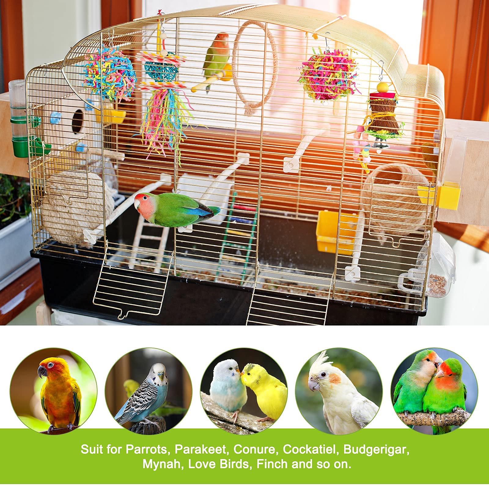 Enrichissement mental YUEPET, stimulation et activité quotidienne pour oiseaux.