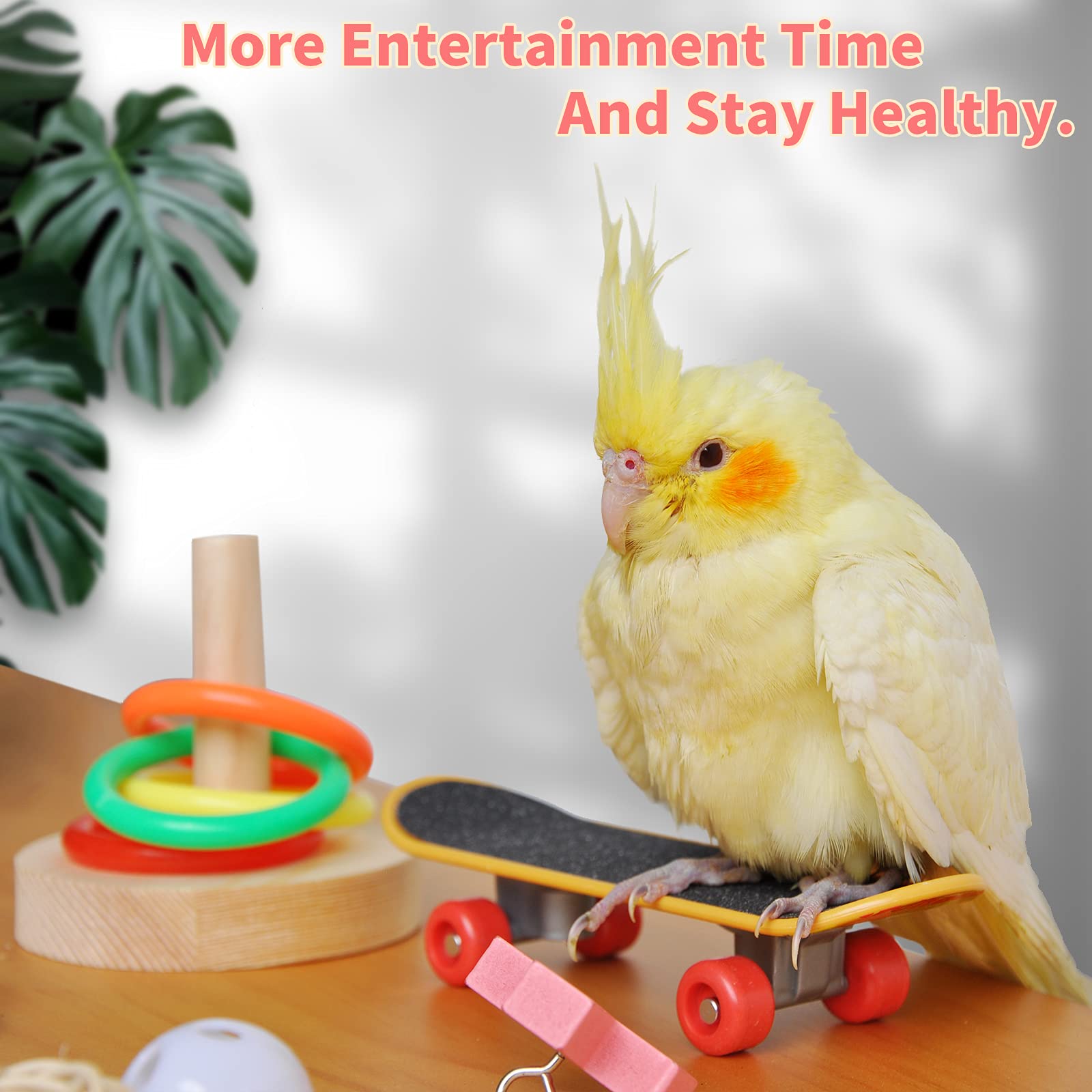 Jouet emboîtement pour oiseaux YUESUO, exploration et jeux d'adresse.