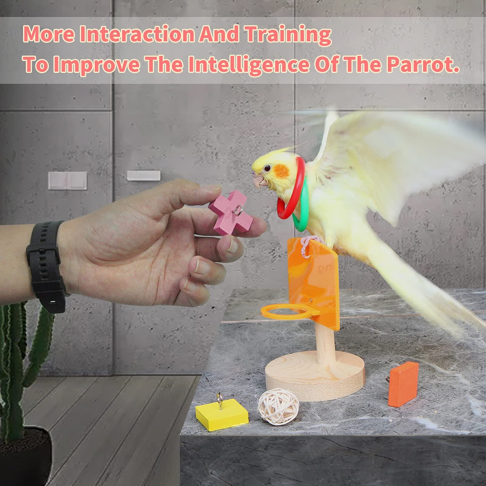 Jouet sepak-takraw pour oiseaux YUESUO, divertissement actif.