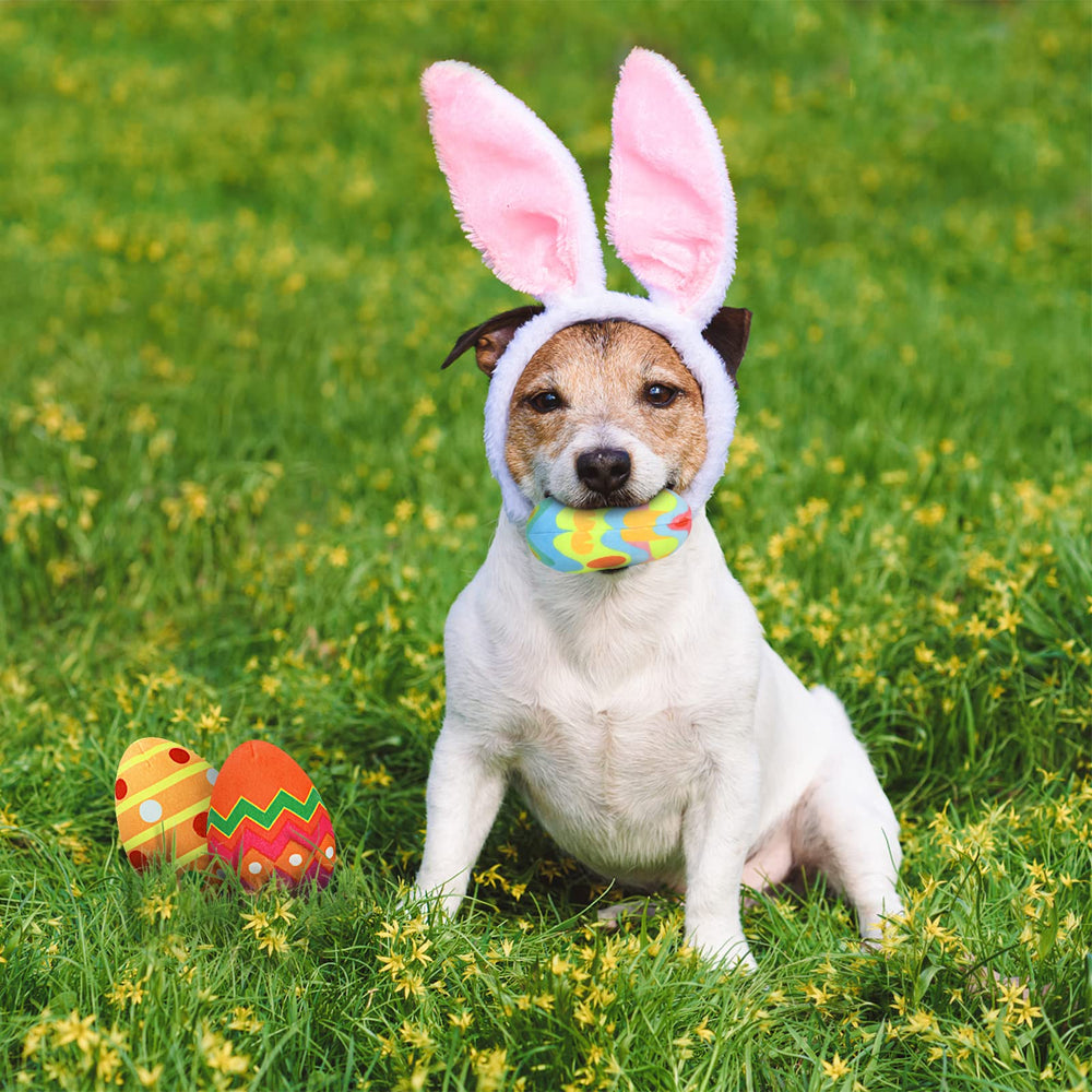 YUEPET oeufs interchangeables paques chien, variété de jeu
