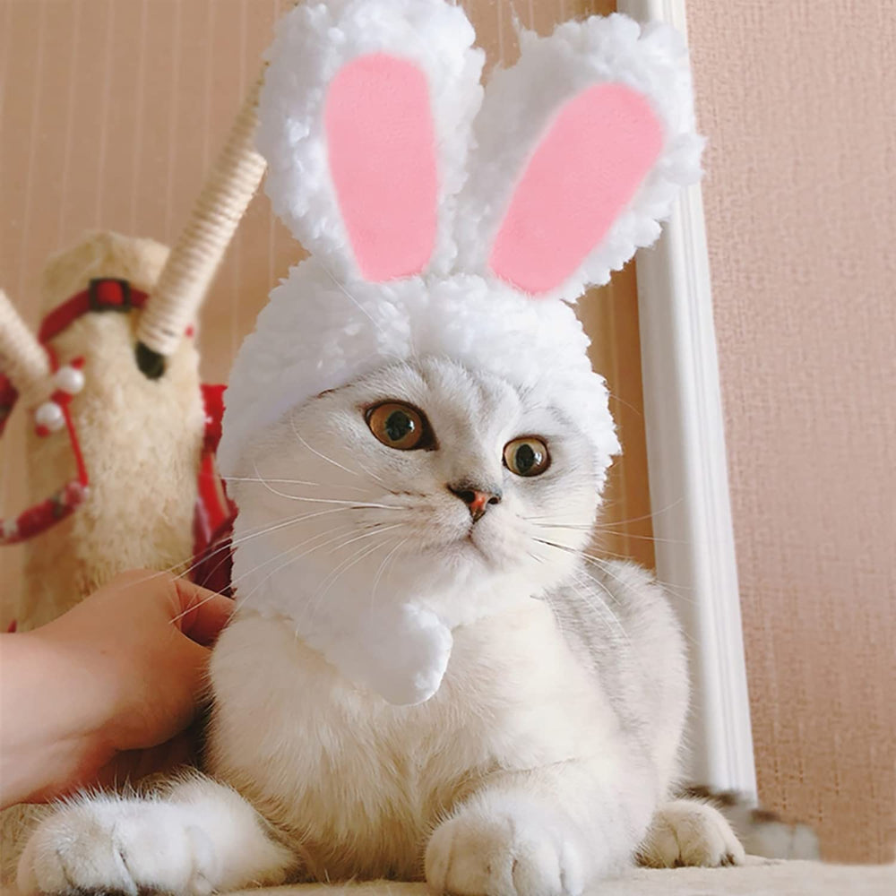 YUJUN chapeau-lapin-chat, idéal pour photos mignonnes et fêtes.