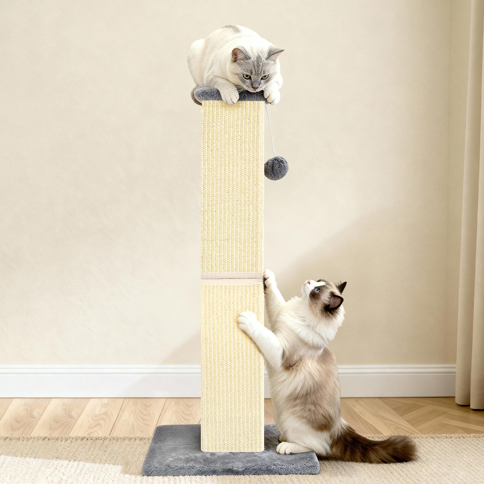 Conception durable destinée aux chats actifs et à un usage quotidien.