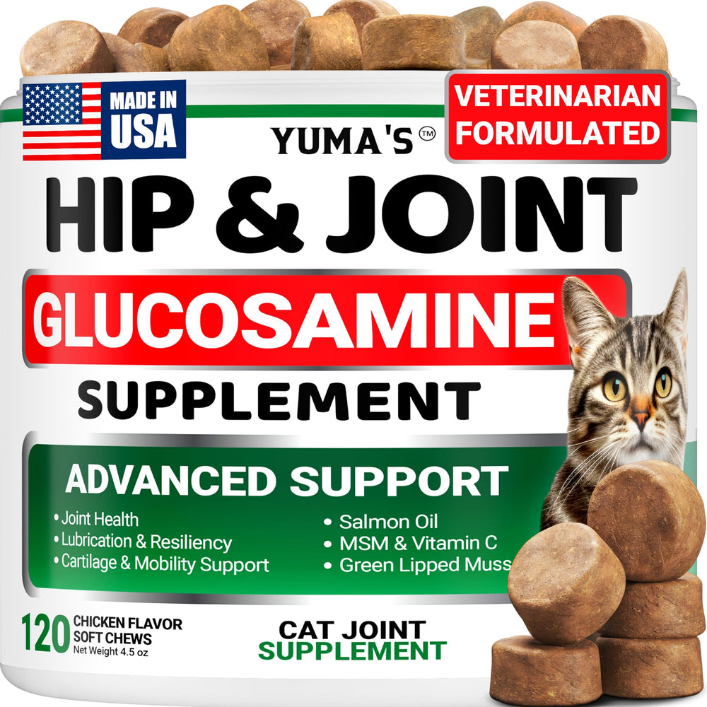 Gommes YUMA'S articulations: soutien mobilité et confort quotidien du chat.