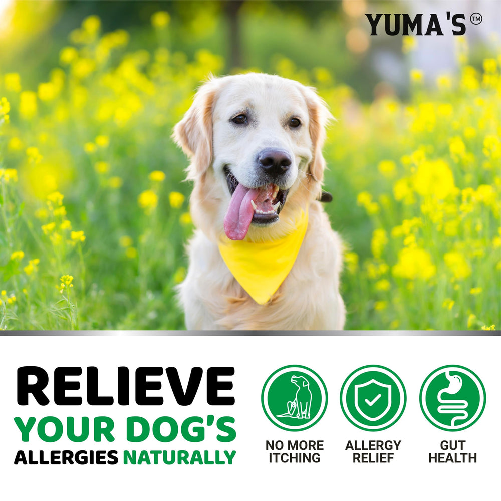 YUMA'S friandises allergie chien - fabriqué aux États‑Unis dans une usine certifiée.