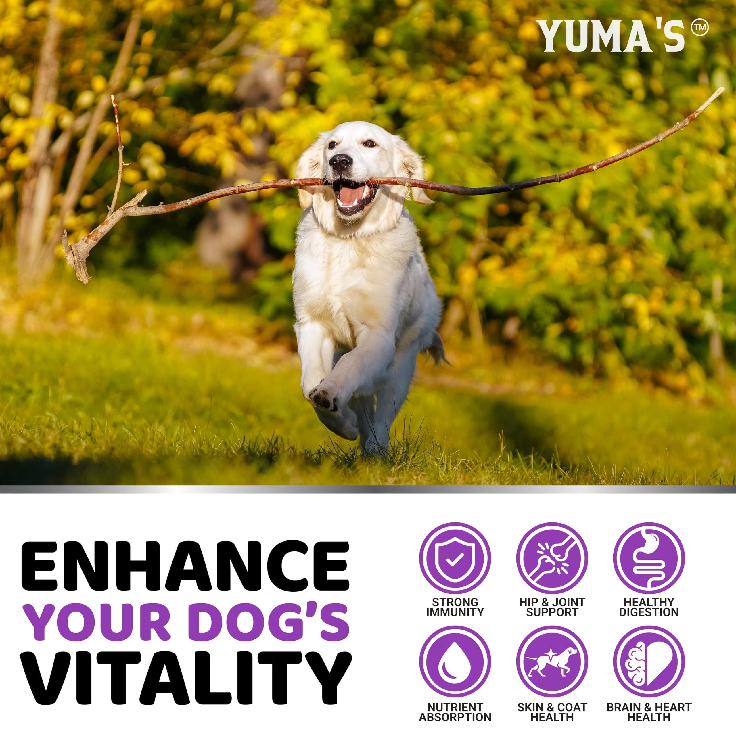 YUMA'S – omega-acides soin peau et pelage du chien
