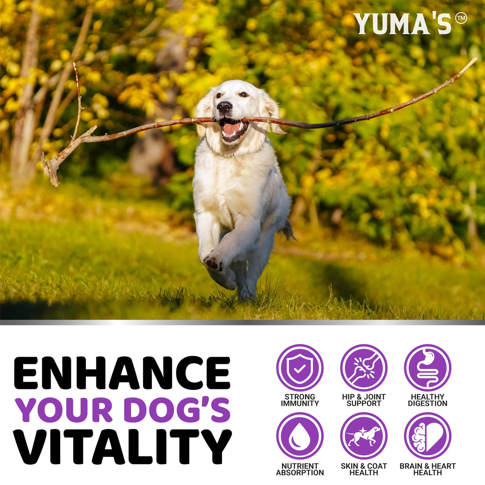 YUMA'S – omega-acides soin peau et pelage du chien