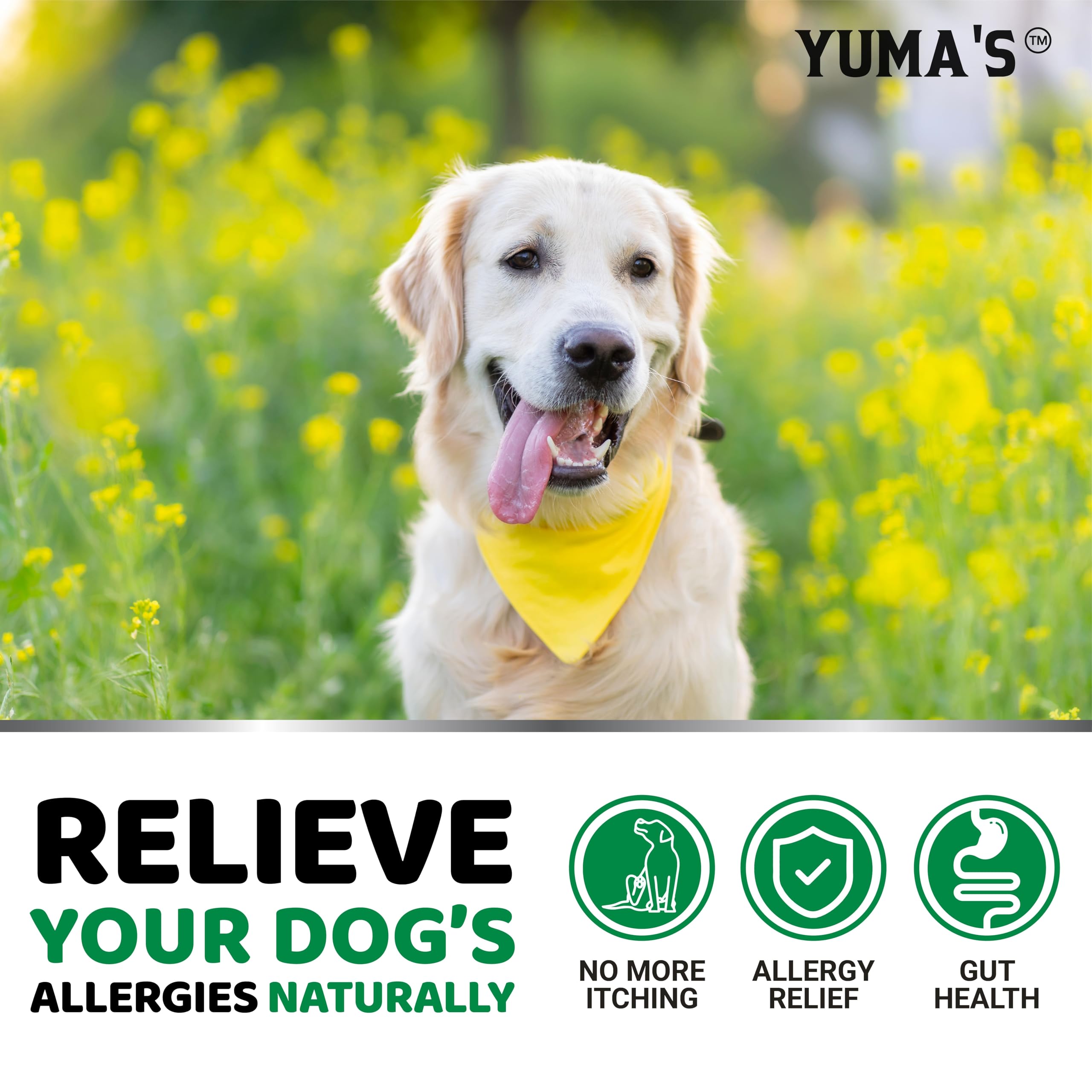 Saveur foie de boeuf YUMA'S, friandises appétentes pour chiens de tous âges.