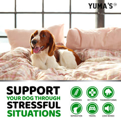 Solution YUMA'S pour le stress de séparation chez le chien.