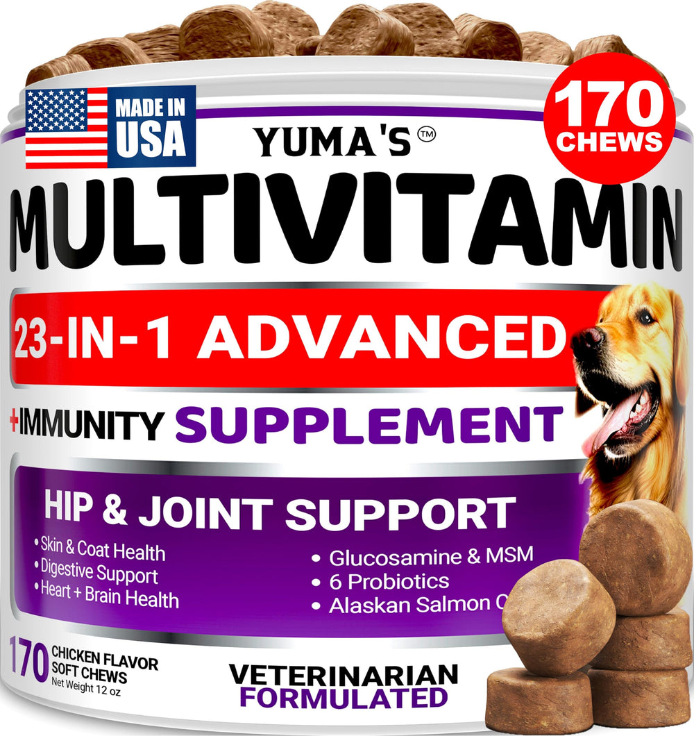 YUMA'S – bouteille-chien-vitamine-170-traites soutient l'énergie quotidienne