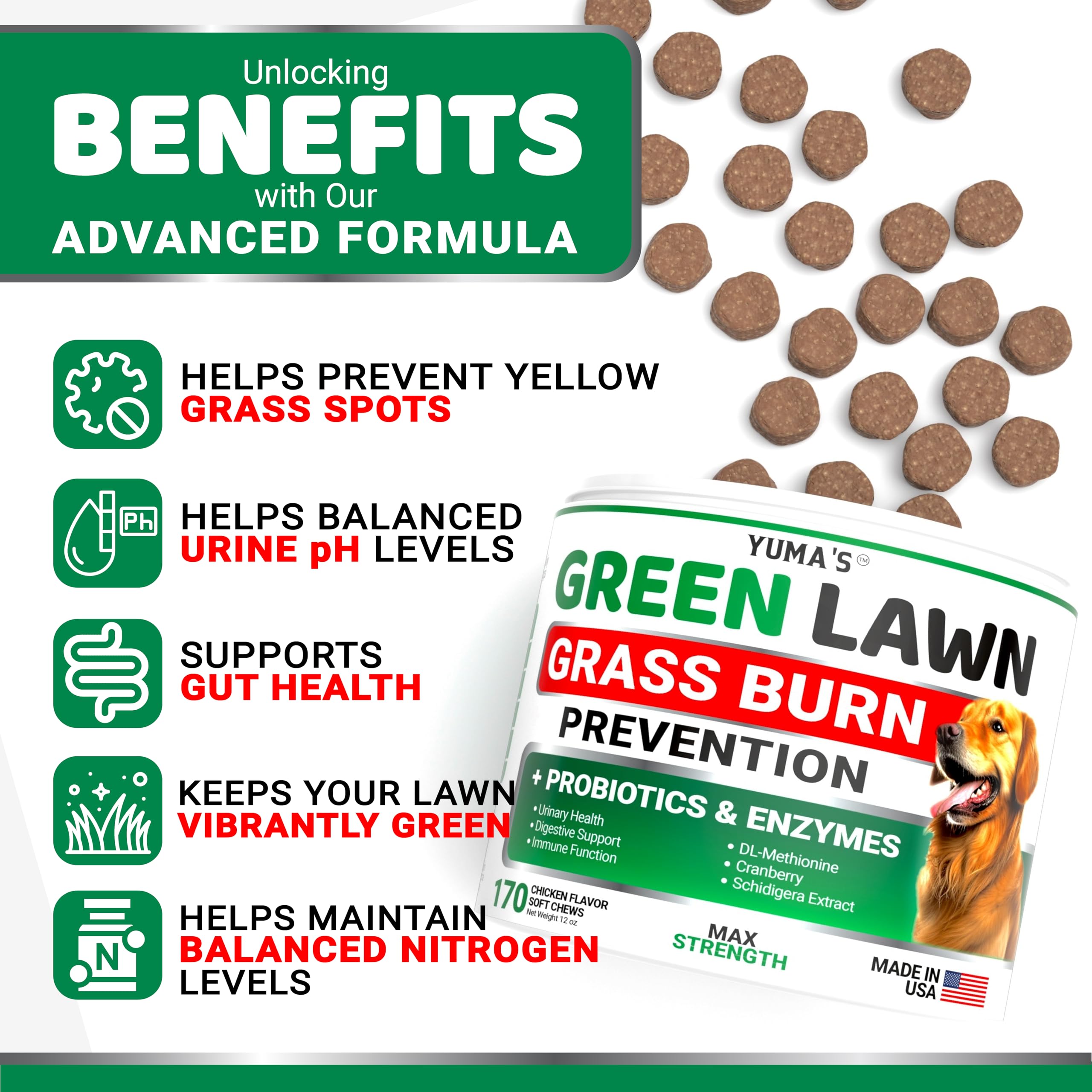 Friandises YUMA'S probiotiques soutenant la digestion du chien