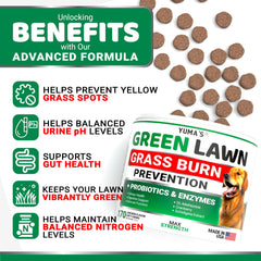 Friandises YUMA'S probiotiques soutenant la digestion du chien