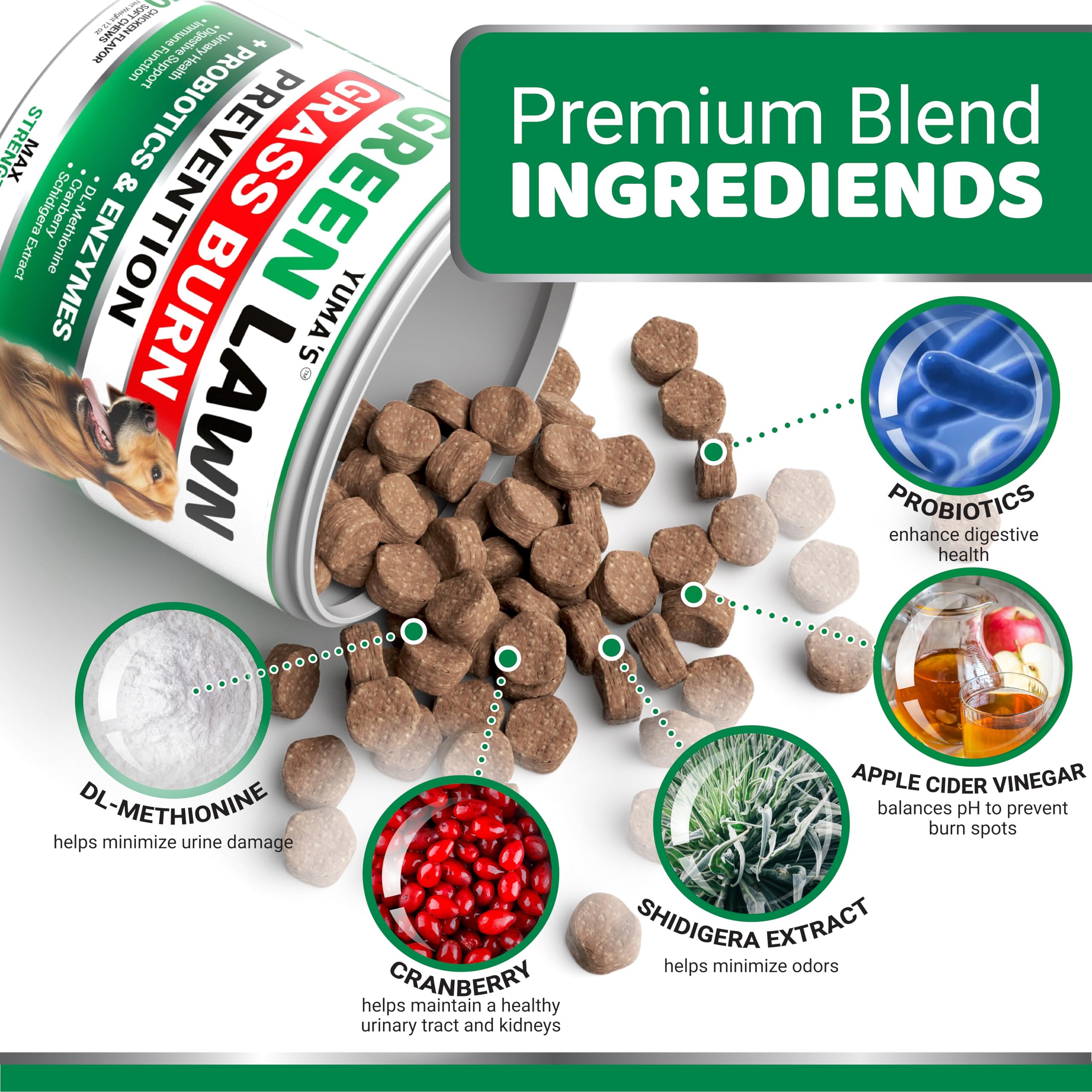Friandises YUMA'S enzymes digestives pour le bien‑être intestinal du chien
