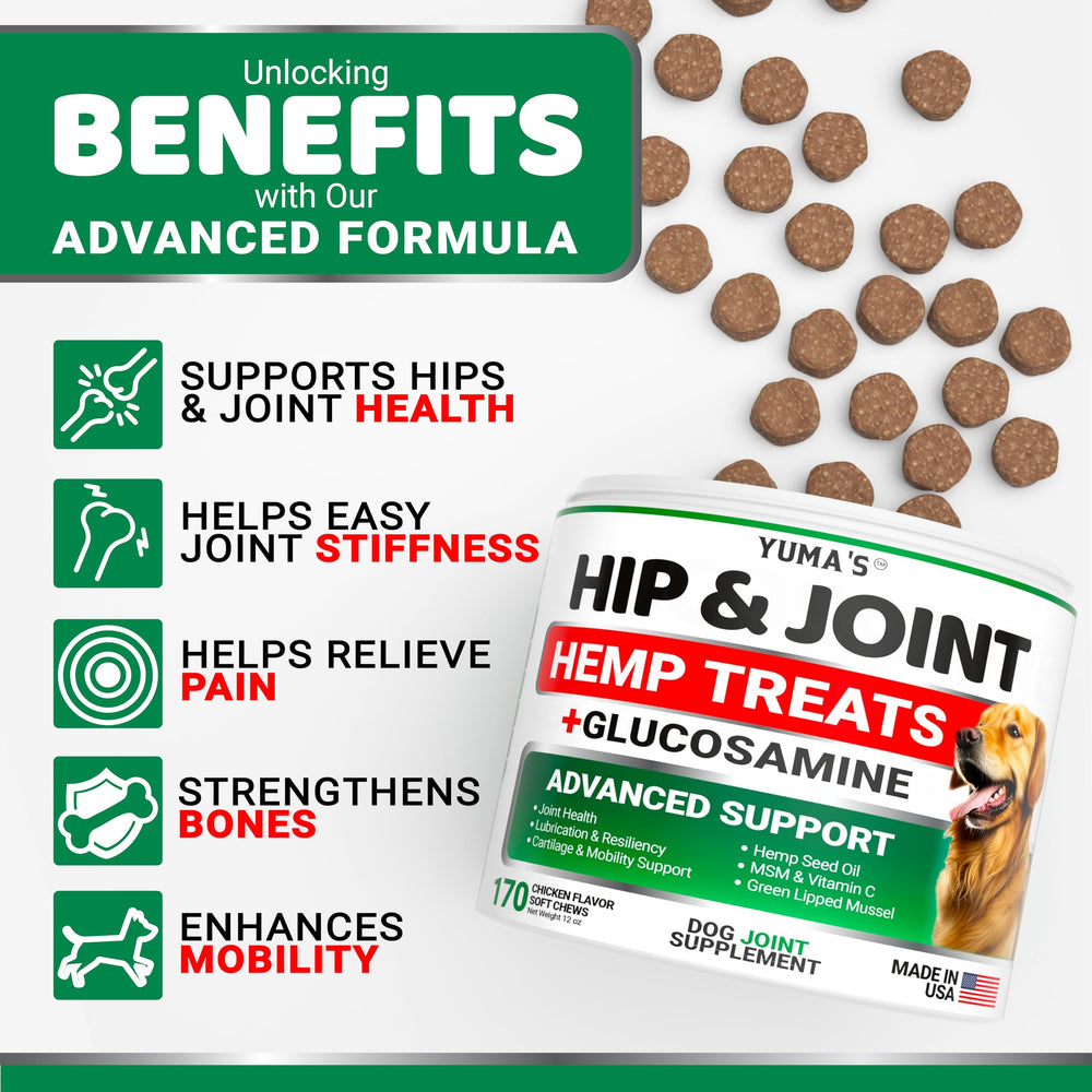 Friandises YUMA'S pour mobilité des chiens actifs et dynamiques.